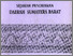 [thumbnail of Sejarah pendidikan daerah sumatera barat.pdf]