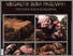 [thumbnail of MEGALITIK BUMI PASEMAH PERANAN SERTA FUNGSINYA.pdf]