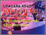 [thumbnail of Upacara adat sandou ari pada masyarakat iban di kabupaten kapuas hulu kalimantan barat.pdf]