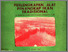 [thumbnail of Perlengkapan alat penangkap ikan tradisional di daerah kab oki.pdf]