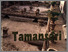 [thumbnail of Tamansari.pdf]