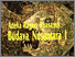 [thumbnail of Aneka ragam khasanah budaya nusantara I.pdf]