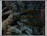 [thumbnail of Aneka ragam khasanah budaya nusantara III.pdf]