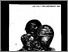 [thumbnail of Buletin Somba Opu Vol 5 No 7 April -September 1999]