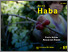 [thumbnail of HABA #85.pdf]