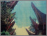 [thumbnail of Laporan studi Teknis Situs Kawasan Rumah Adat Tangkeallo Tator 2009]