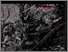 [thumbnail of 2014-Booklet-Aceh Pungoe.pdf]