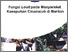 [thumbnail of FUNGSI LEUIT PADA MASYARAKAT KASEPUHAN CICARUCUB DI BANTEN.pdf]