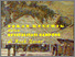 [thumbnail of 2010-Buku-Peran Keuchik dala Revilalisasi Gampong.pdf]