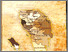 [thumbnail of 2012-Buku-Aspek kultural Pemekaran daerah Sumut.pdf]