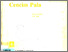 [thumbnail of CENCIM PALA.pdf]