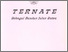 [thumbnail of TERNATE SEBAGAI BANDAR JALUR SUTRA.pdf]
