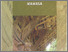 [thumbnail of ARSIKTEKTUR TRADISIONAL DAERAH MAMASA.pdf]
