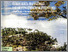[thumbnail of PERAN SERTA MASYARAKAT DALAM PENGEMBANGAN PARIWISATA.pdf]