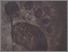 [thumbnail of SEJARAH PERMUSEUMAN DI INDONESIA.pdf]