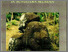 [thumbnail of TINGGALAN MEGALIT DI SUMATERA SELATAN.pdf]