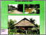 [thumbnail of Buku ini berkaitan dengan masyarakat adat]
