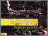 [thumbnail of LINDHU AGENG NGAYOGYAKARTA.pdf]