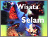 [thumbnail of PETUNJUK WISATA SELAM.pdf]