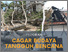 [thumbnail of CB-Tangguh-Bencana.pdf]