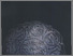 [thumbnail of KOLEKSI PILIHAN 25 MUSEUM DI INDONESIA.pdf]
