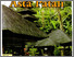 [thumbnail of Buku ini mengenai pelestarian nilai-nilai dan warisan budaya tentang arsitektur tradisional Bali yang berada di dalam naskah Kuno Asta Patali]