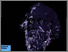 [thumbnail of Buku ini sastrawan besar Rabindranath Tagore mengunjungi Jawa dan Bali dalam kunjungan ini ia bertemu dengan Ki Hadjar Dewantara social reformer dan aktivis kemerdekaan indonesia]