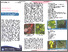 [thumbnail of Informasi Kebudayaan Aceh]