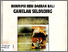 [thumbnail of DISKRIPSI SENI DAERAH BALI GAMELAN SELONDING.pdf]