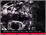 [thumbnail of PAMERAN SENI RUPA KARYA GURU SENI BUDAYA 2014 GURU SENI BERLARI.pdf]