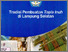 [thumbnail of TRADISI PEMBUATAN TAPIS INUH DI LAMPUNG.pdf]