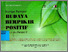 [thumbnail of BUNGA RAMPAI BUDAYA BERFIKIR POSITIF SUKU SUKU BANGSA II.pdf]