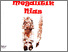 [thumbnail of ALBUM BENDA CAGAR BUDAYA MEGALITIK NIAS.pdf]
