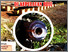 [thumbnail of BENTENG-BENTENG DI KEPULAUAN RIAU.pdf]
