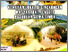 [thumbnail of KEARIFAN LOKAL DI LINGKUNGAN MASYARAKAT TENGGER PASURUAN JAWA TIMUR.pdf]