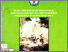 [thumbnail of WUJUD,ARTI DAN FUNGSI PUNCAK KEBUDAYAAN LAMA DAN ASLI BAGI...TIMTIM.pdf]