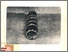 [thumbnail of pdf]