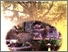 [thumbnail of FUNGSI DAN MAKNA RITUAL NAMPAH BATU.pdf]