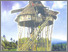 [thumbnail of ARSITEKTUR TRADISIONAL RUMAH DAYAK BIDAYUH KALIMANTAN BARAT.pdf]