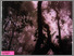 [thumbnail of KEARIFAN LOKAL MASYARAKAT ADAT PROPINSI JAMBI.pdf]