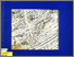 [thumbnail of KOLEKSI PILIHAN MUSEUM LAMPUNG.PDF]