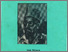 [thumbnail of HAJI AGUS SALIM.pdf]