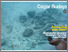 [thumbnail of Buletin Cagar Budaya Vol V 2017.pdf]