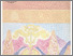 [thumbnail of geografi budaya jawa timur.pdf]