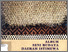 [thumbnail of Album seni budaya Daerah Istimewa Yogyakarta]