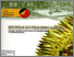 [thumbnail of Peran bundo kanduang.pdf]