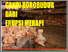 [thumbnail of Menyelamatkan Candi Borobudur dari Erupsi Merapi.pdf]