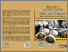 [thumbnail of Etnografi Masyarakat Randualas_LR.pdf]